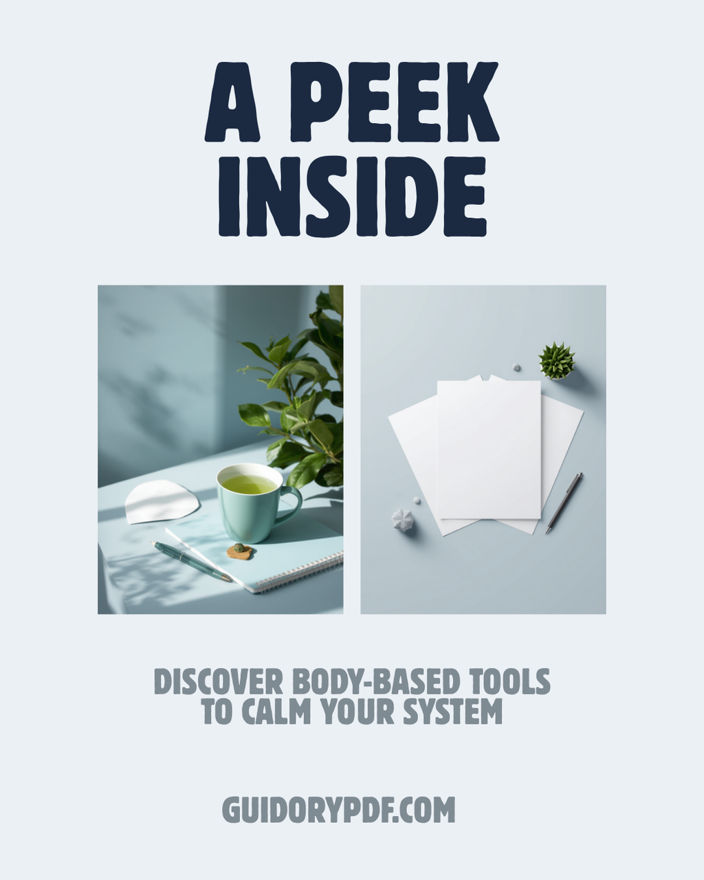 The Somatic Healing Toolkit — Exercises for Nervous System Regulation